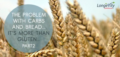 The Problem with Carbs and Bread… It’s More than Gluten… PART 2