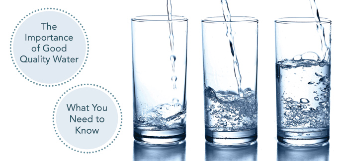 The Importance of Good Quality Water – What You Need to Know