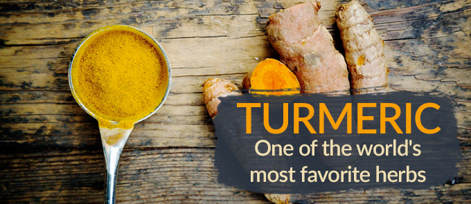 Turmeric: One of the World’s Most Favorite Herbs
