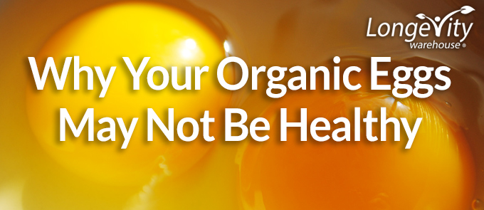 organic-eggs-blog-banner