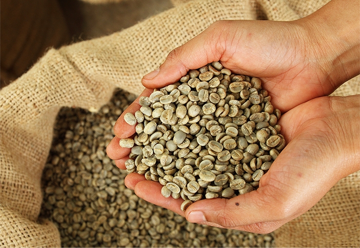 Four Reasons Why You Need to Roast Your Organic, Low Acid Coffee Beans From Home!