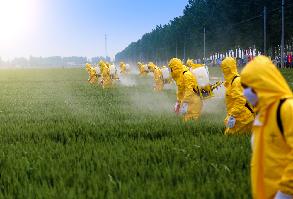 Monsanto spraying glyphosate on crops